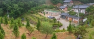 수목장 #2