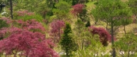 수목장 #6