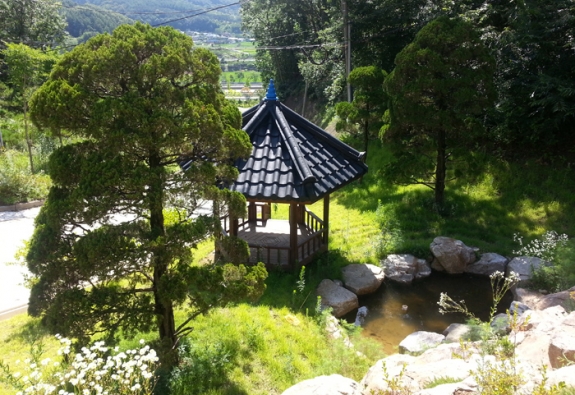 수목장 by 한국장묘컨설팅