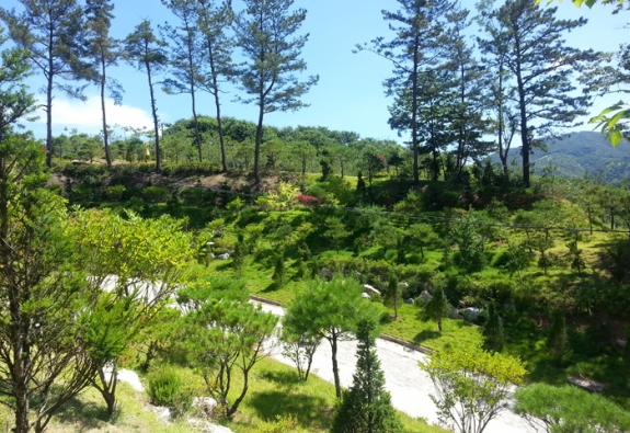 수목장 by 한국장묘컨설팅