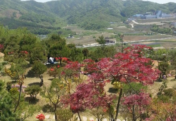 수목장 by 한국장묘컨설팅