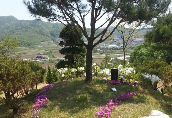 수목장 by 한국장묘컨설팅