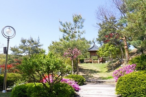 595.jpg