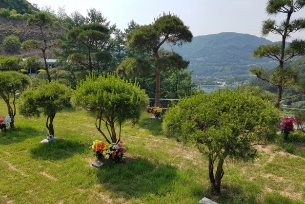 수목장3.jpg