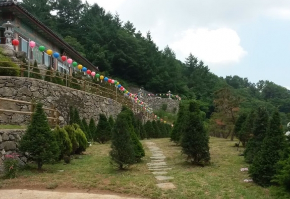 수목장 by 한국장묘컨설팅
