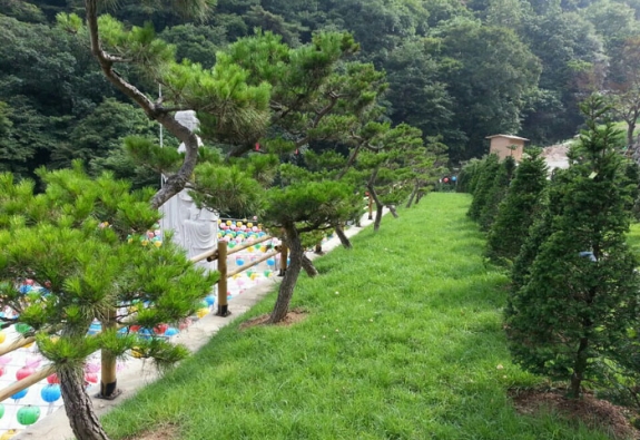 수목장 by 한국장묘컨설팅