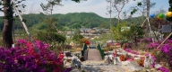 수목장 #2