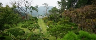 수목장 #4