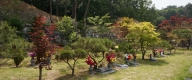 수목장 #5