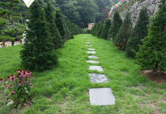 수목장 by 한국장묘컨설팅