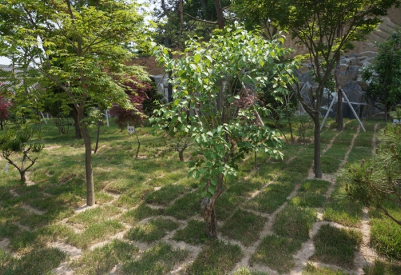 수목장 by 한국장묘컨설팅