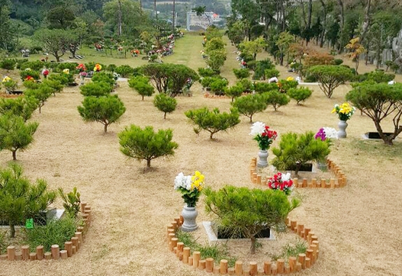 수목장 by 한국장묘컨설팅