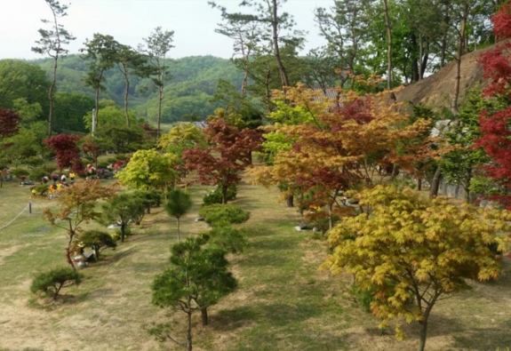 수목장 by 한국장묘컨설팅