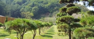 수목장 #3