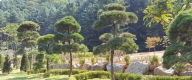 수목장 #5