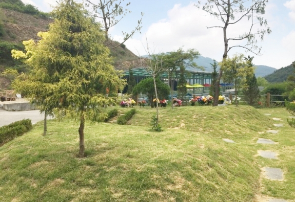 수목장 by 한국장묘컨설팅