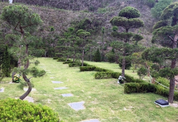 수목장 by 한국장묘컨설팅