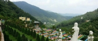 수목장 #2