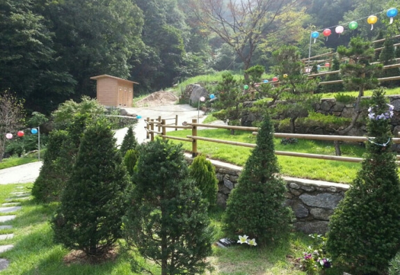 수목장 by 한국장묘컨설팅