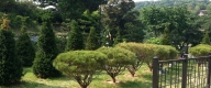 수목장 #3