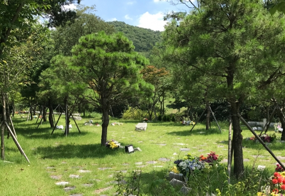 수목장 by 한국장묘컨설팅