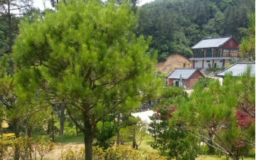 정안수목장 by 한국장묘컨설팅