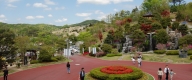 수목장 #2