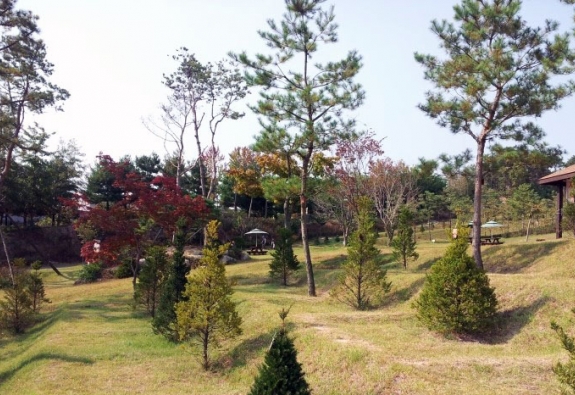 수목장 by 한국장묘컨설팅