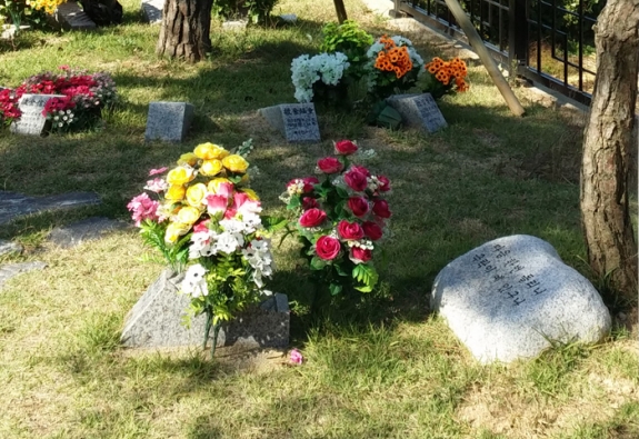 수목장 by 한국장묘컨설팅